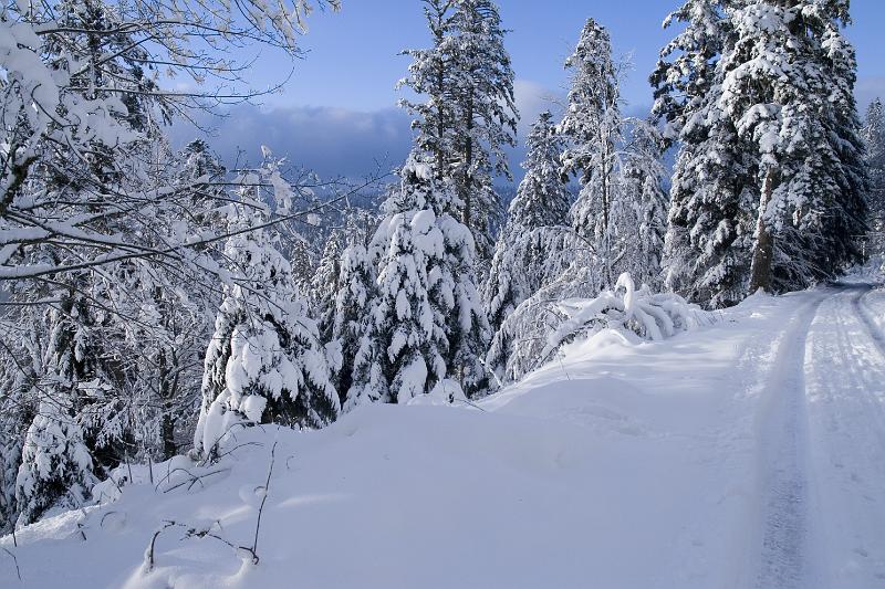 16 - Descente vers le Rudlin.jpg